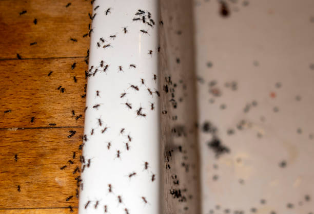 Edmonton, KY Pest Control Company
